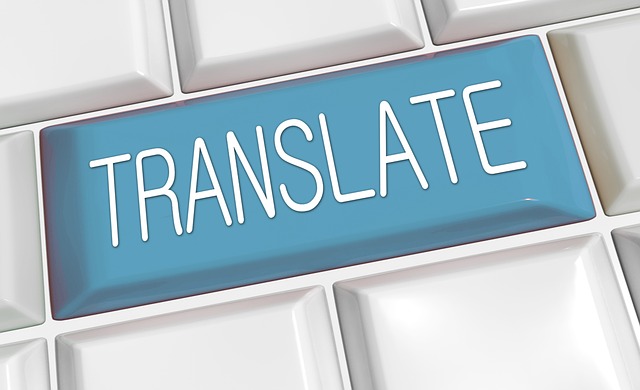 Ukrainiečiams Lietuvoje ypač reikalingos vertimų paslaugos